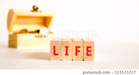 Life symbol. Concept word Life on beautiful wooden blocks. Beautiful wooden chest with coins. Beautiful white table white background. Business, lifestyle, support and life concept. Copy space. Life symbol. Concept word Life on beautiful wooden blocks. Beautiful wooden chest with coins. Beautiful white table white background. Business, lifestyle, support and life concept. Copy space. 123513727