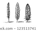 Vintage witchcraft set with mystical feathers, engraved illustration 123513741