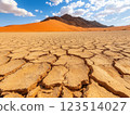 Vast Desert with Cracked Ground and Dunes 123514027