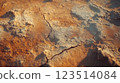 Close-up of Cracked Dry Earth Surface 123514084