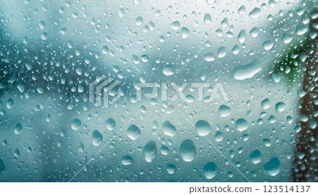 春天早晨的露珠 春天早晨的露珠 123514137