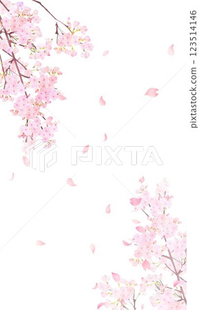 Beautiful pale pink cherry blossoms and petals spring white background iPhone etc. portrait screen size background material illustration 123514146