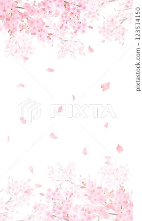 美麗的淡粉色櫻花和花瓣春天白色背景 iPhone 等肖像螢幕尺寸背景資料插圖 123514150