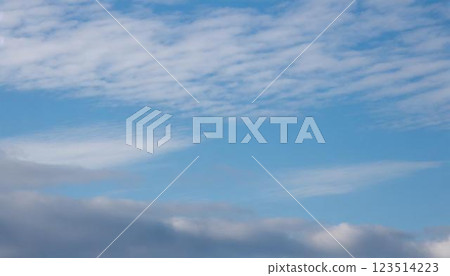 春天天藍色背景 123514223