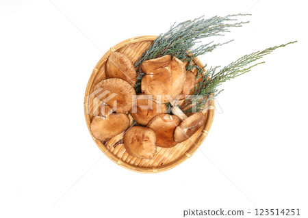 白色背景中籃子裡的生香菇 123514251