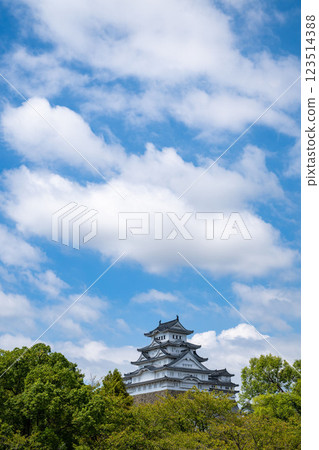 Hyogo Prefecture / The World Heritage site Himeji Castle in autumn, with its beautiful contrast of blue sky, green and white 123514388