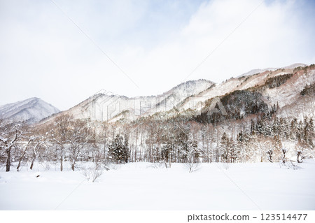 [Maezawa Magariya Village] A snowy mountain village in the afternoon 123514477