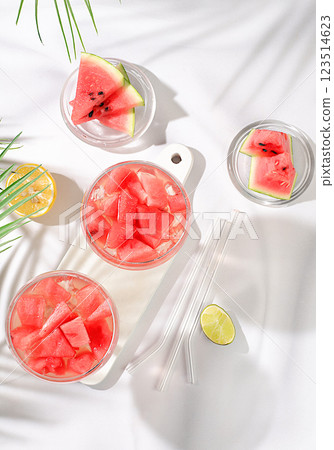 Watermelon frozen margarita cocktail with fresh slices of watermelon, lime and mint, summer party and vacation concept, bar advertising, cafe, selective focus. 123514623
