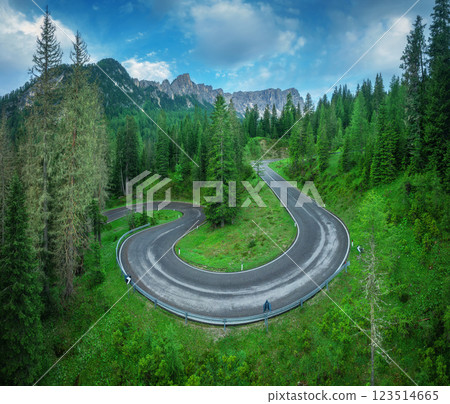 Aerial view of winding road, green forest in mountains in summer 123514665