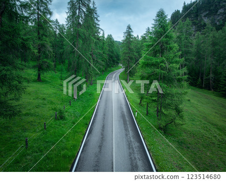 Aerial view of a winding asphalt road in vibrant green forest Aerial view of a winding asphalt road in vibrant green forest 123514680