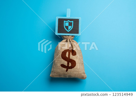 A bag of money for protection and security. Insurance, savings, investment protection, and financial planning. Safeguarding assets. Cybersecurity 123514949