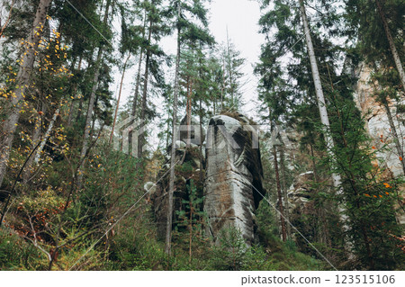 Rock city in Adrspach, Czech Republic. Texture of sandstone, The National park Adrspach Teplice rocks. High quality photo. Nature background 123515106