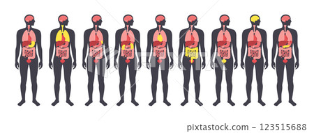 Human internal organs Human internal organs 123515688