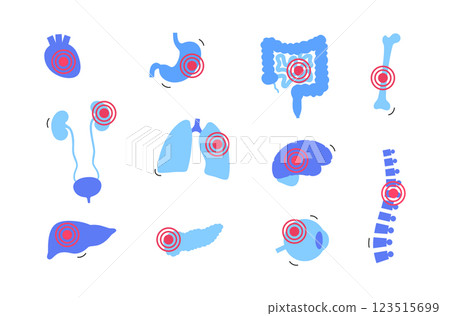 Human internal organs 123515699