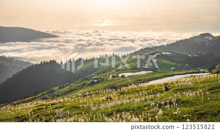 Mountain landscape with blooming plants, sunrise or sunset and clouds in the background. Mountain landscape with blooming plants, sunrise or sunset and clouds in the background. 123515821