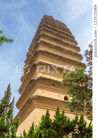 Tall goose pagoda temple with trees in foreground, Xian, Shaanxi province, China Tall goose pagoda temple with trees in foreground, Xian, Shaanxi province, China 123515964
