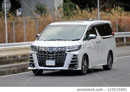 Minivan image Minivan image 123515981