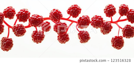 Colorful raspberry branches on a white background 123516328