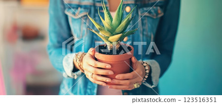 Woman holding potted succulent indoors with style 123516351