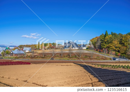 深秋的公園場景有藍天背景 深秋的公園場景有藍天背景 123516615
