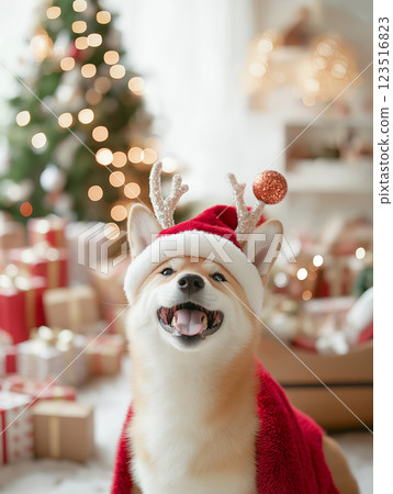 Shiba dog in festive Santa costume with reindeer ears and cute happy smile during Christmas 123516823