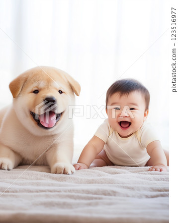 Chow Chow and baby in a cute adorable playful photo showcasing friendship and joy 123516977