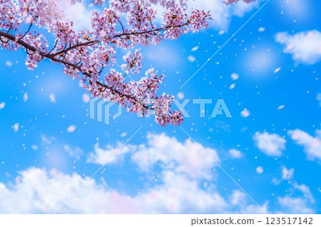 [櫻花暴雪素材] 從盛開的櫻花樹下的河口湖北岸觀賞富士山和櫻花暴雪 [山梨縣] 123517142