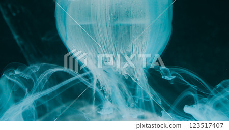 Fog ink. Orb shape. Defocused blue color wet texture water chemical liquid flow paint dripping on abstract art dark black background. 123517407