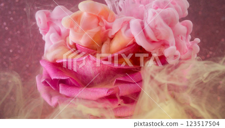 Wave fog. Rose flower. Liquid pink peach orange paint swirl explosion water natural bud. Art purple fluid blur mix abstract background texture. Wave fog. Rose flower. Liquid pink peach orange paint swirl explosion water natural bud. Art purple fluid blur mix abstract background texture. 123517504