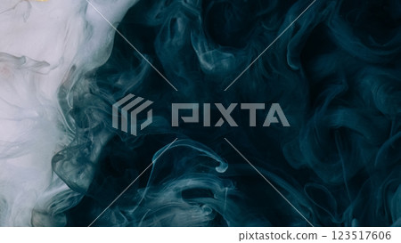 Cloud smog. Flow vapor. Defocused dark blue white smoke haze paint ink mist splash water texture sparkle liquid on abstract background. 123517606