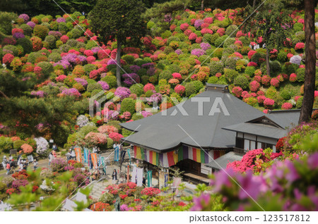 被杜鵑花環繞的鹽船觀音寺本殿 123517812