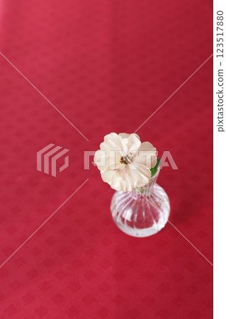 Ranunculus single wheel 123517880