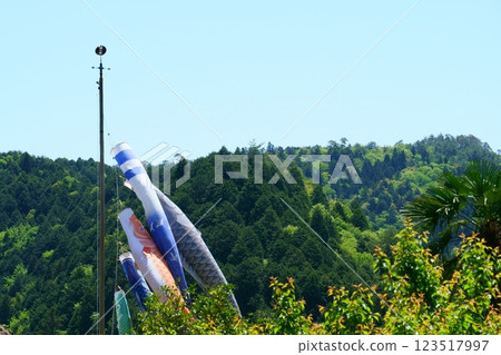 Carp streamers on a sunny day Carp streamers on a sunny day 123517997