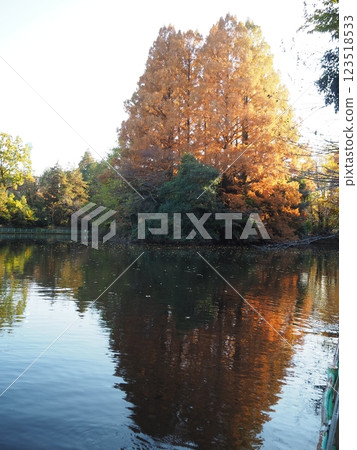 Musashi Kinen Park Musashi Kinen Park 123518533