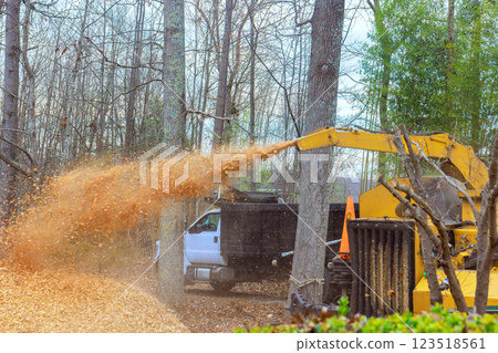 Workers use wood chipper to process tree debris while truck waits in under during deforestation Workers use wood chipper to process tree debris while truck waits in under during deforestation 123518561