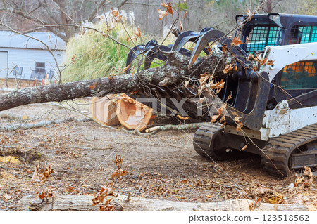 Skid steer loader transports large tree trunk, clearing yard debris in suburban setting during deforestation Skid steer loader transports large tree trunk, clearing yard debris in suburban setting during deforestation 123518562