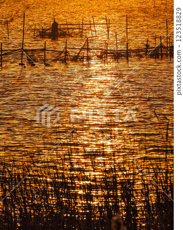 Lake Inban dyed in the sunset Lake Inban dyed in the sunset 123518829