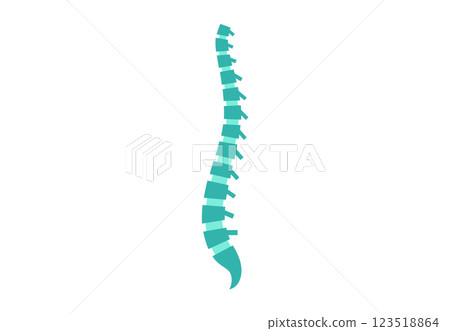 Spine medical poster 123518864