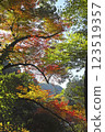 Autumn leaves at Minoh Waterfall Trail 123519357