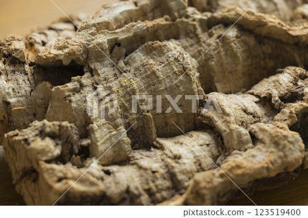 軟木樹皮 123519400