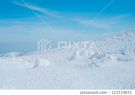 Beautiful frost-covered trees at Zao, Yamagata 123519655