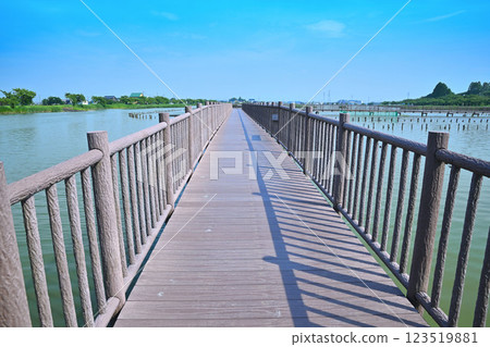 Early summer, Promenade, Isanuma Pond with plenty of water, Lakeside scenery in July 123519881