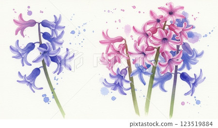 Watercolor illustration of hyacinth 123519884