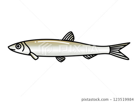 Simple cute smelt illustration Simple cute smelt illustration 123519984