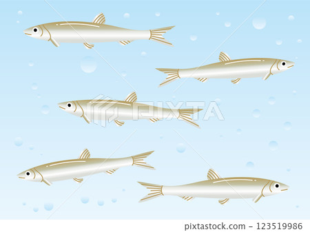 簡單圖示：可愛的胡瓜魚在水下游泳 — — 水平 123519986