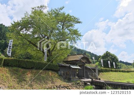 Ruined Valley Asakura Ruins Karamon Ruined Valley Asakura Ruins Karamon 123520153