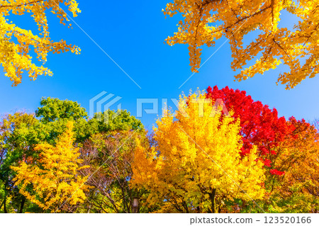 Osaka Castle Park in Autumn Osaka Castle Park in Autumn 123520166