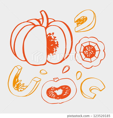 Hand drawn outline pumpkin EPS Hand drawn outline pumpkin EPS 123520185