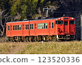 Tarako-colored diesel railcar running along an embankment 123520336