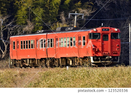 Tarako-colored diesel railcar running along an embankment 123520336